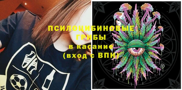 прущие грибы Краснотурьинск