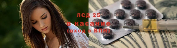 прущие грибы Краснотурьинск