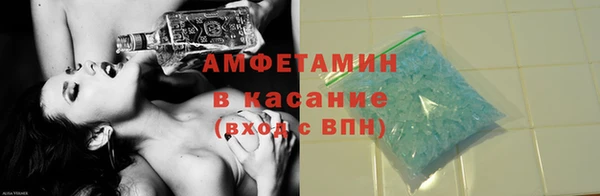 прущие грибы Краснотурьинск