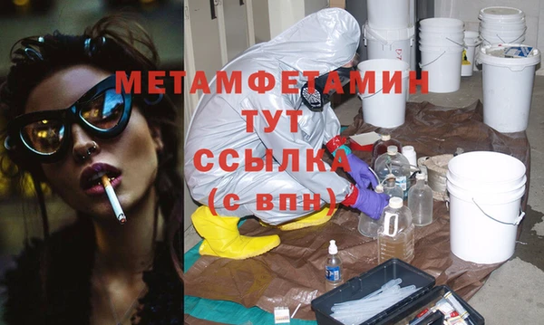 прущие грибы Краснотурьинск