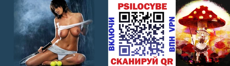 магазин    Чекалин  Псилоцибиновые грибы Psilocybe 
